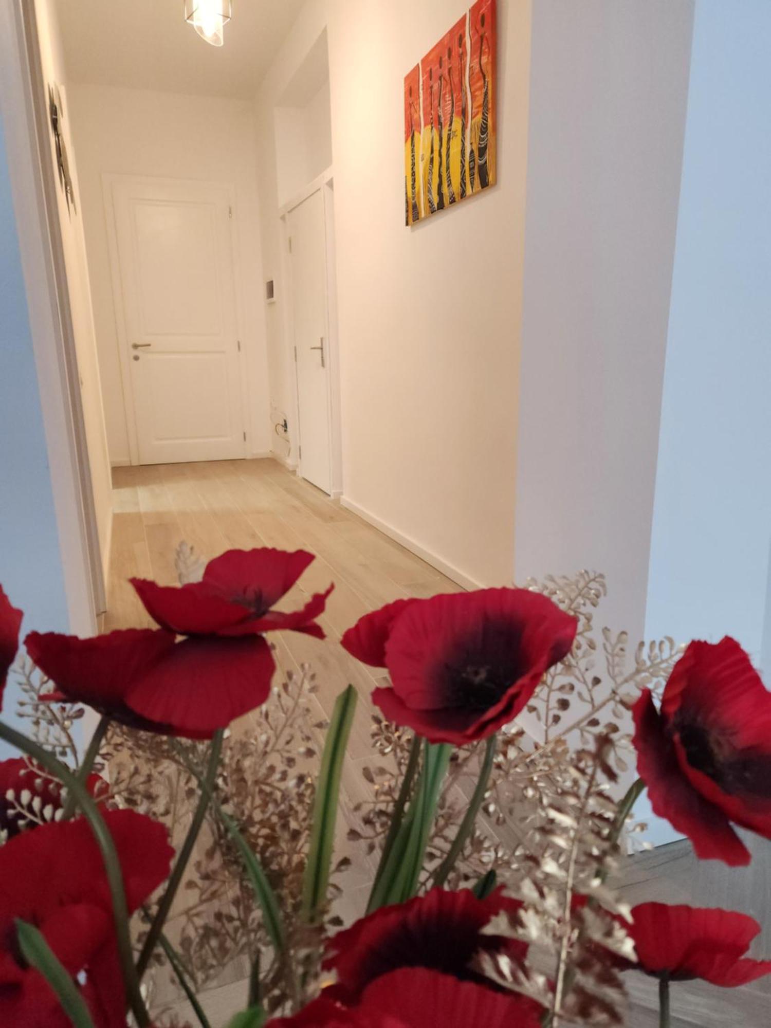 Ultra Panoramic Cu Balcon Apartament Timişoara