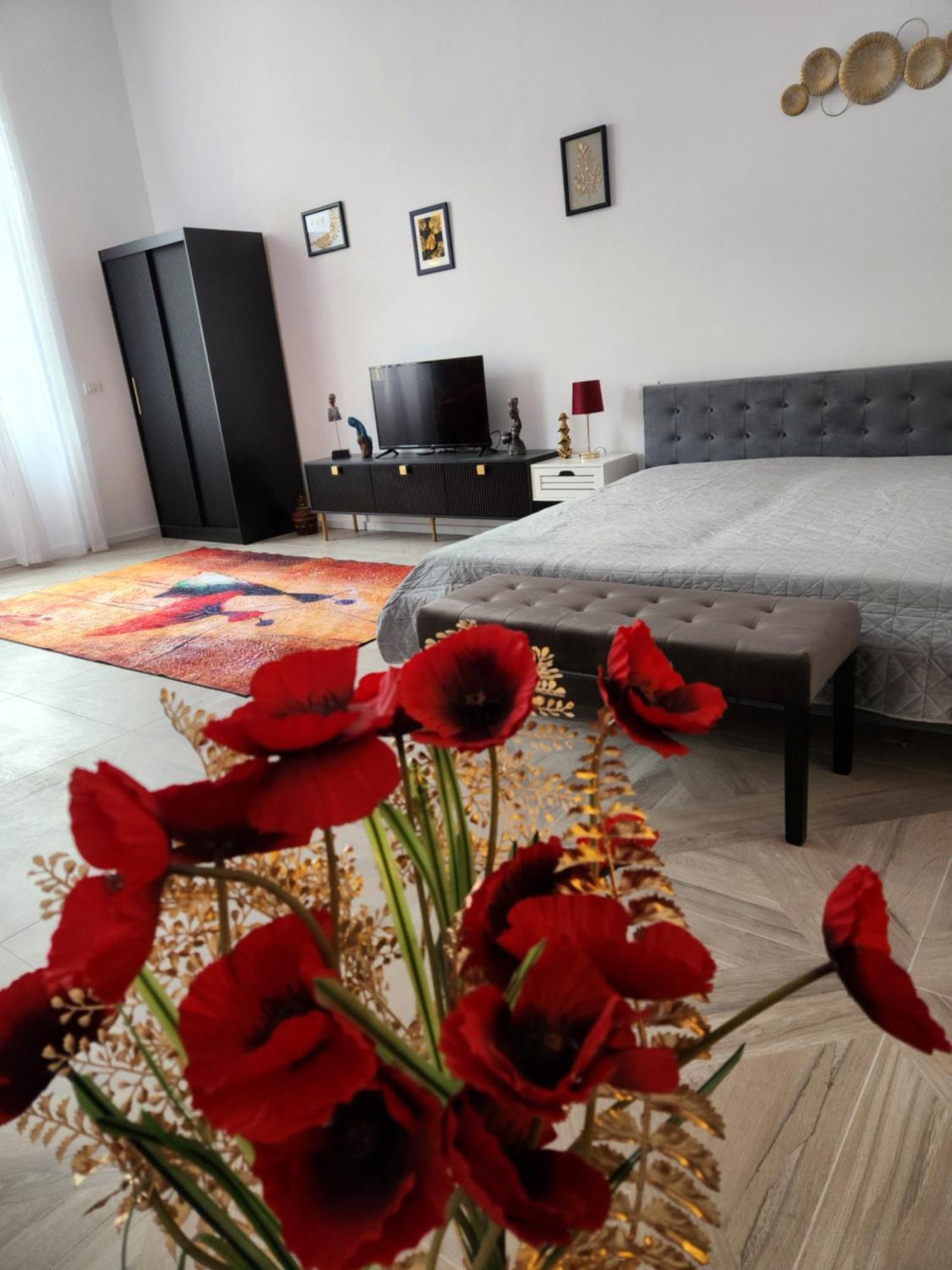 Apartament Ultra Panoramic Cu Balcon Timişoara